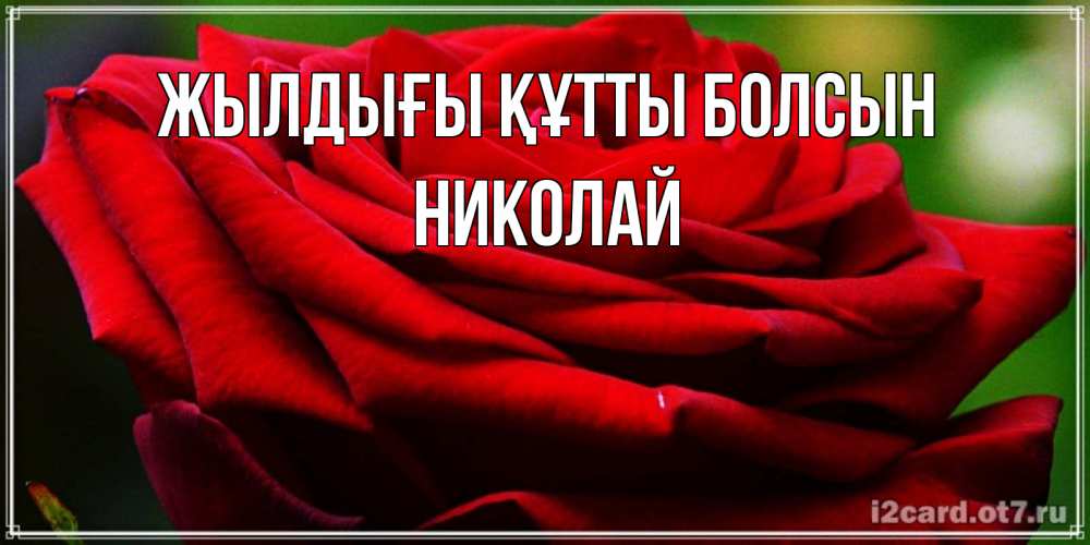 Күн сайын ашық хат с именем, Николай Жылдығы құтты болсын розочка очень красивая Онлайн тегін жүктеп алу тілектері бар керемет карта 
