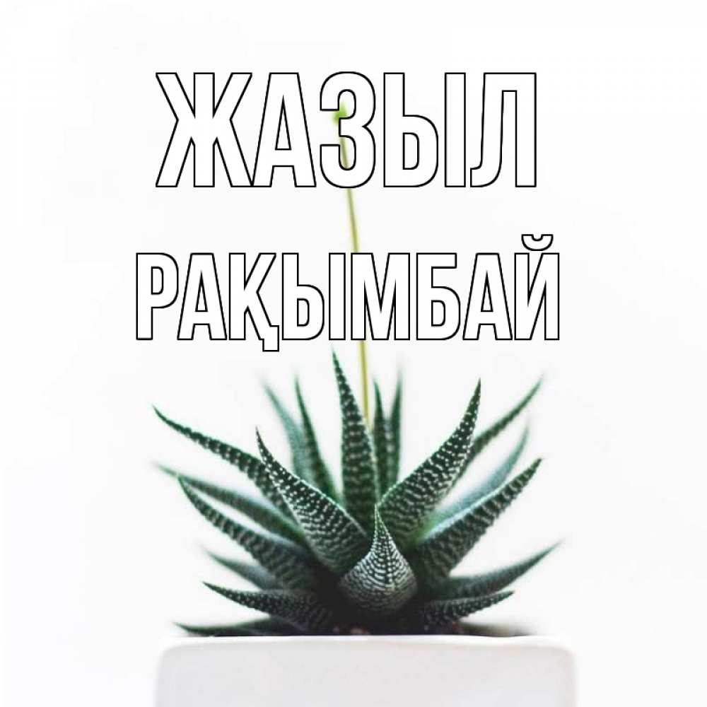 Күн сайын ашық хат с именем, Рақымбай Жазыл короче это непонятная колючка Онлайн тегін жүктеп алу тілектері бар керемет карта 