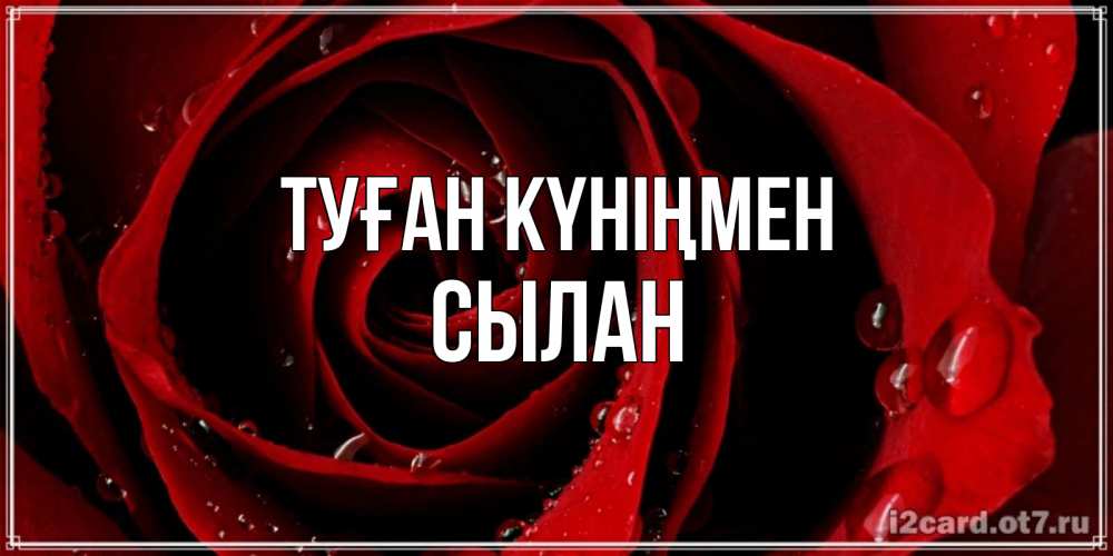 Күн сайын ашық хат с именем, СЫЛАН Туған күніңмен крупная бордовая роза Онлайн тегін жүктеп алу тілектері бар керемет карта 