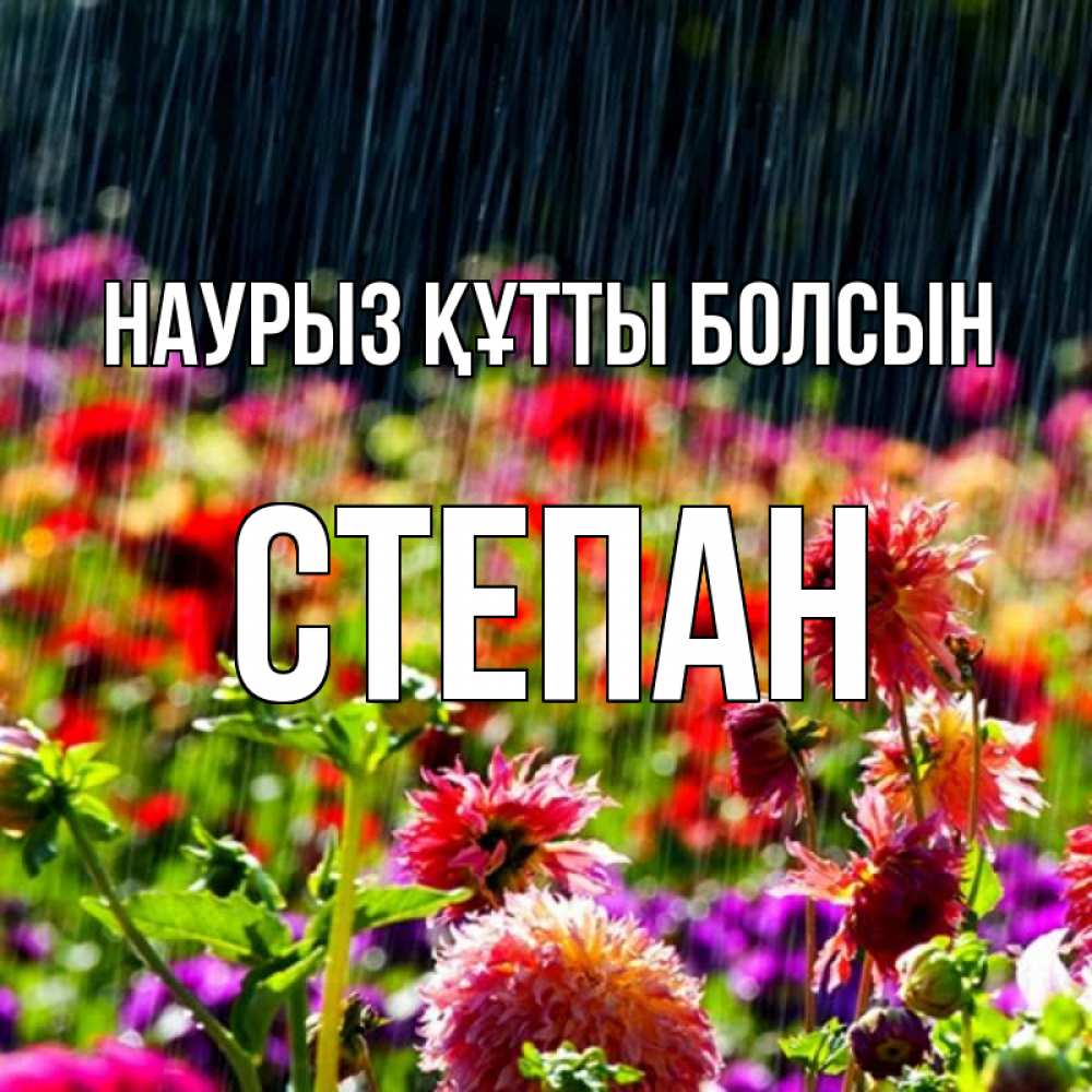 Күн сайын ашық хат с именем, Степан Наурыз құтты болсын цветы под дождиком к наурызу Онлайн тегін жүктеп алу тілектері бар керемет карта 
