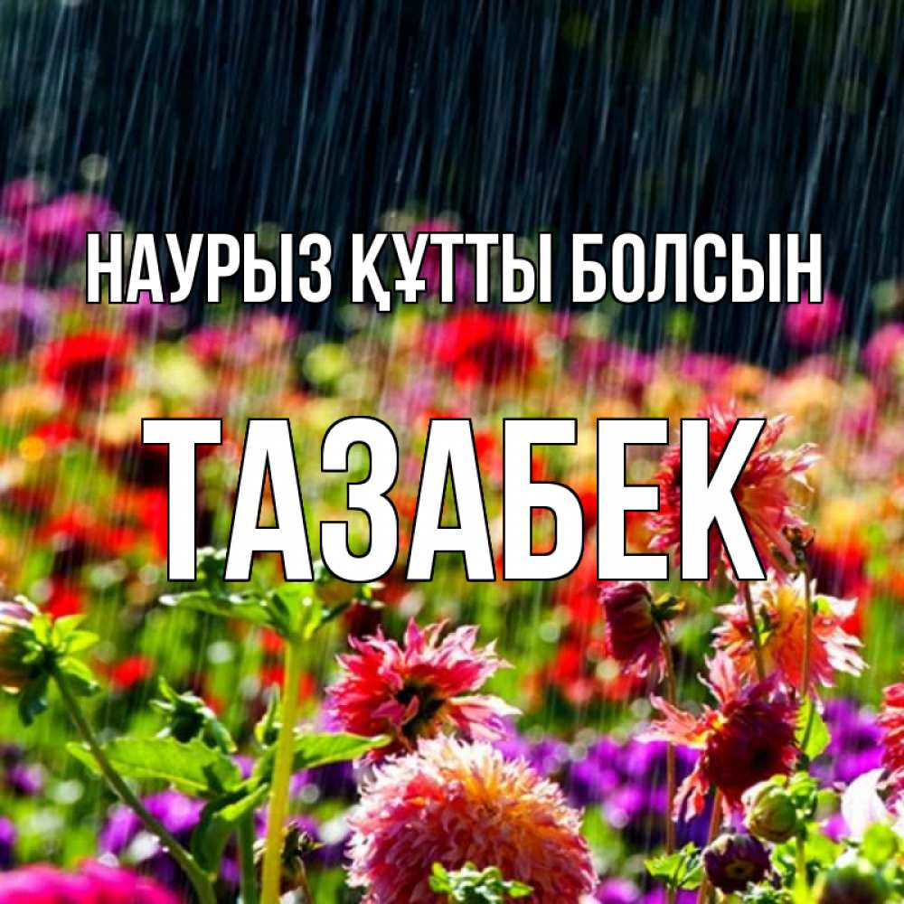 Күн сайын ашық хат с именем, ТАЗАБЕК Наурыз құтты болсын цветы под дождиком к наурызу Онлайн тегін жүктеп алу тілектері бар керемет карта 