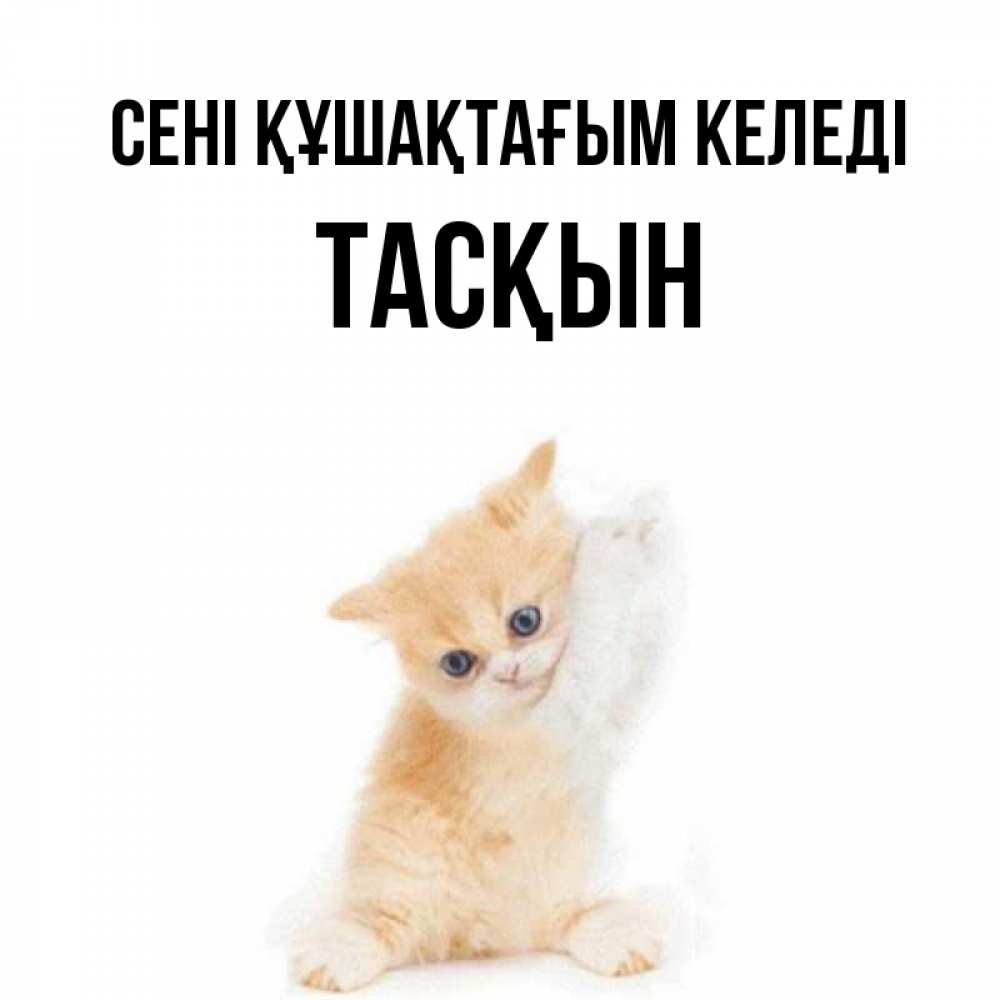 Күн сайын ашық хат с именем, ТАСҚЫН сені құшақтағым келеді я хочу очень скорее обнимаешек Онлайн тегін жүктеп алу тілектері бар керемет карта 