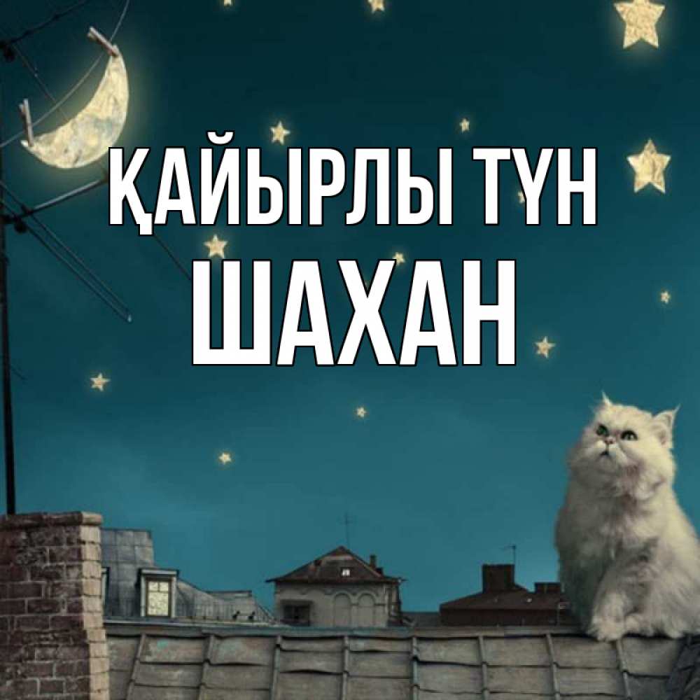 Күн сайын ашық хат с именем, ШАХАН Қайырлы түн белый кот сидит на крыше Онлайн тегін жүктеп алу тілектері бар керемет карта 
