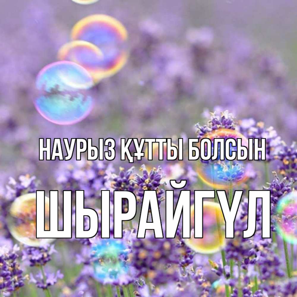 Күн сайын ашық хат с именем, ШЫРАЙГҮЛ Наурыз құтты болсын цветы Онлайн тегін жүктеп алу тілектері бар керемет карта 