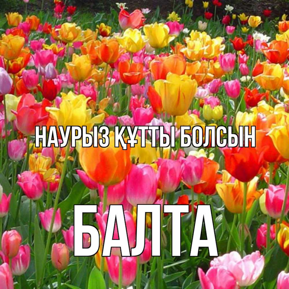 Күн сайын ашық хат с именем, Балта Наурыз құтты болсын на наурыз  ура ура Онлайн тегін жүктеп алу тілектері бар керемет карта 