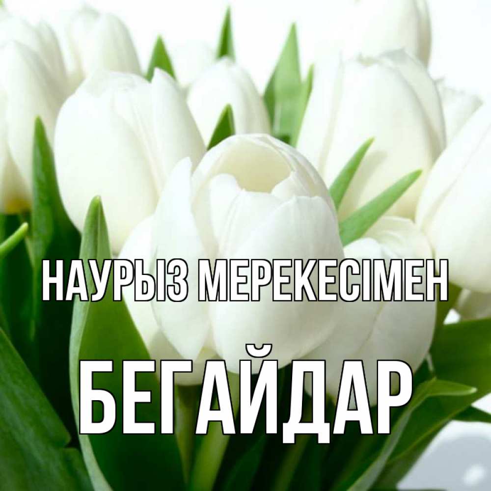 Күн сайын ашық хат с именем, Бегайдар Наурыз мерекесімен цветы Онлайн тегін жүктеп алу тілектері бар керемет карта 
