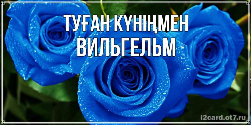 Күн сайын ашық хат с именем, Вильгельм Туған күніңмен розы с синим цветом Онлайн тегін жүктеп алу тілектері бар керемет карта 