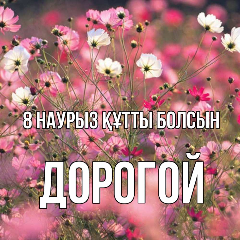 Күн сайын ашық хат с именем, Дорогой 8 наурыз құтты болсын красиво 1 Онлайн тегін жүктеп алу тілектері бар керемет карта 