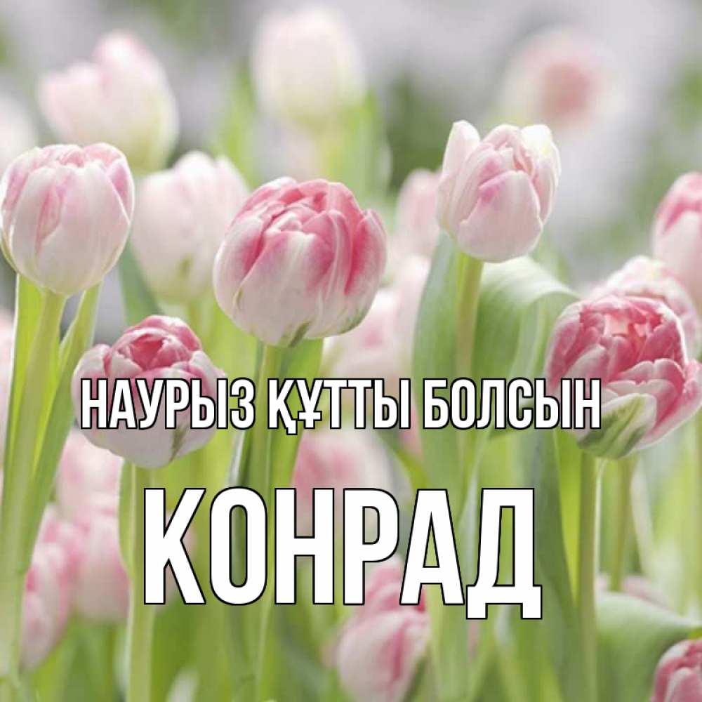 Күн сайын ашық хат с именем, Конрад Наурыз құтты болсын цветы Онлайн тегін жүктеп алу тілектері бар керемет карта 