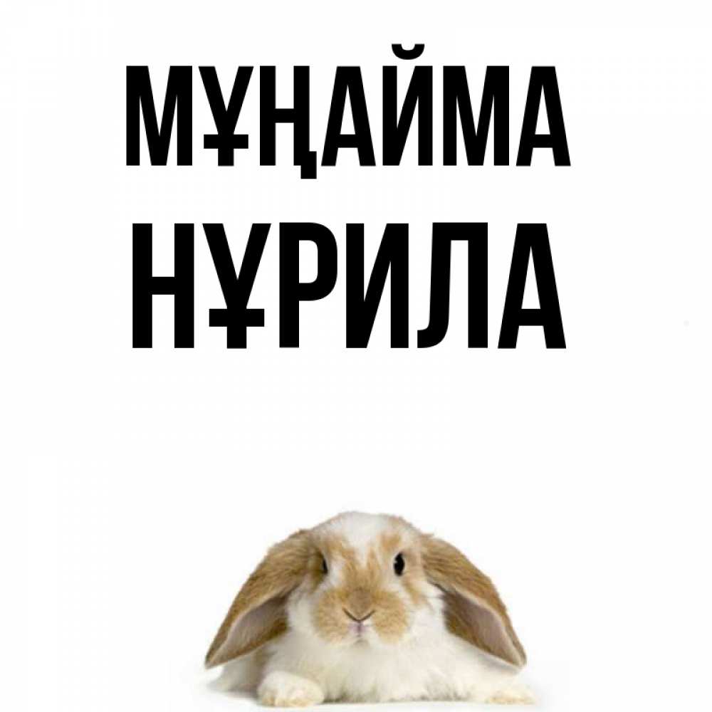 Күн сайын ашық хат с именем, НҰРИЛА Мұңайма коричнево белый заяц с большими ушками Онлайн тегін жүктеп алу тілектері бар керемет карта 