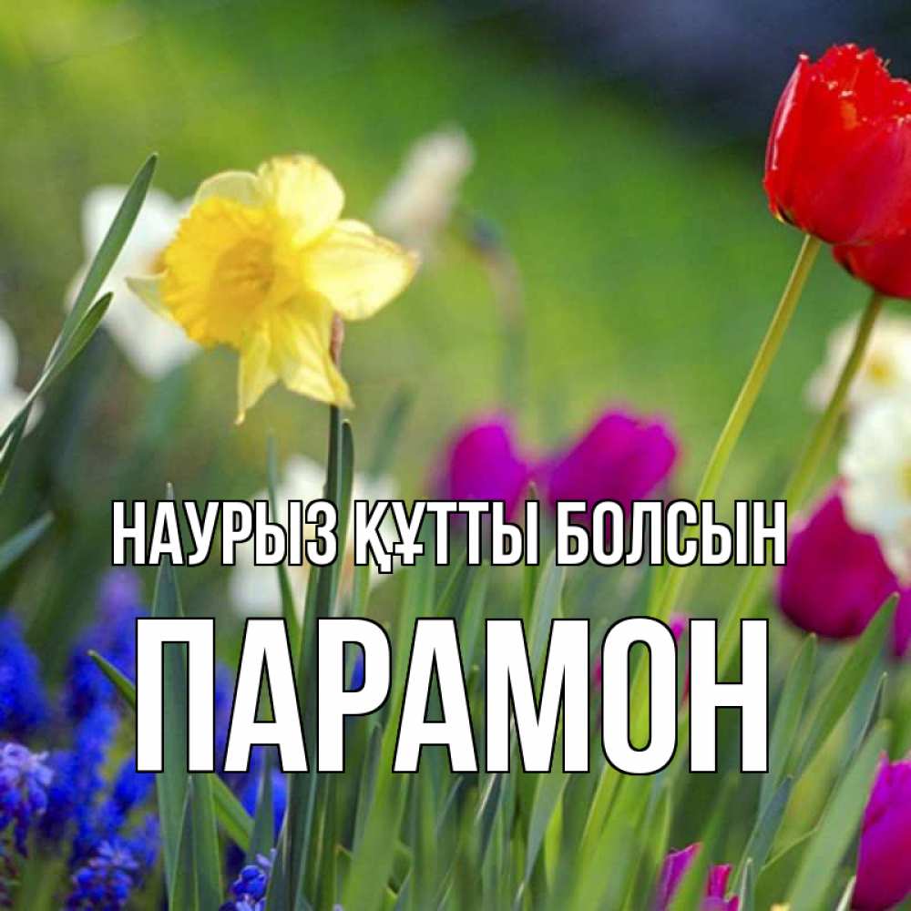 Күн сайын ашық хат с именем, Парамон Наурыз құтты болсын наурыз  3 открытки Онлайн тегін жүктеп алу тілектері бар керемет карта 