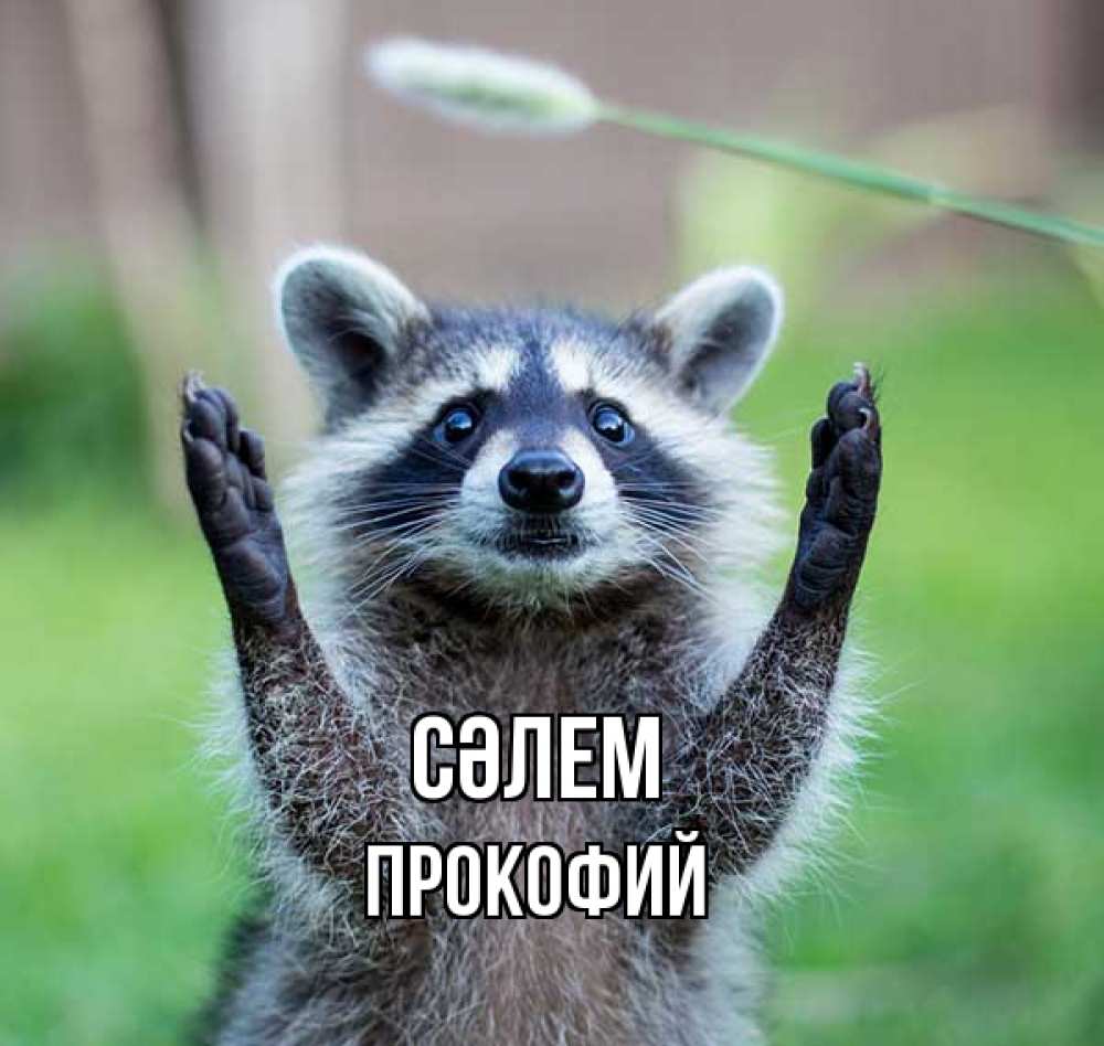 Күн сайын ашық хат с именем, Прокофий Сәлем животные Онлайн тегін жүктеп алу тілектері бар керемет карта 