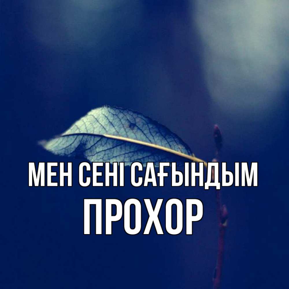 Күн сайын ашық хат с именем, Прохор Мен сені сағындым одна ветка 1 Онлайн тегін жүктеп алу тілектері бар керемет карта 