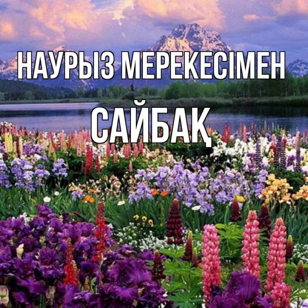 Күн сайын ашық хат с именем, САЙБАҚ Наурыз мерекесімен праздник весны наурыз Онлайн тегін жүктеп алу тілектері бар керемет карта 