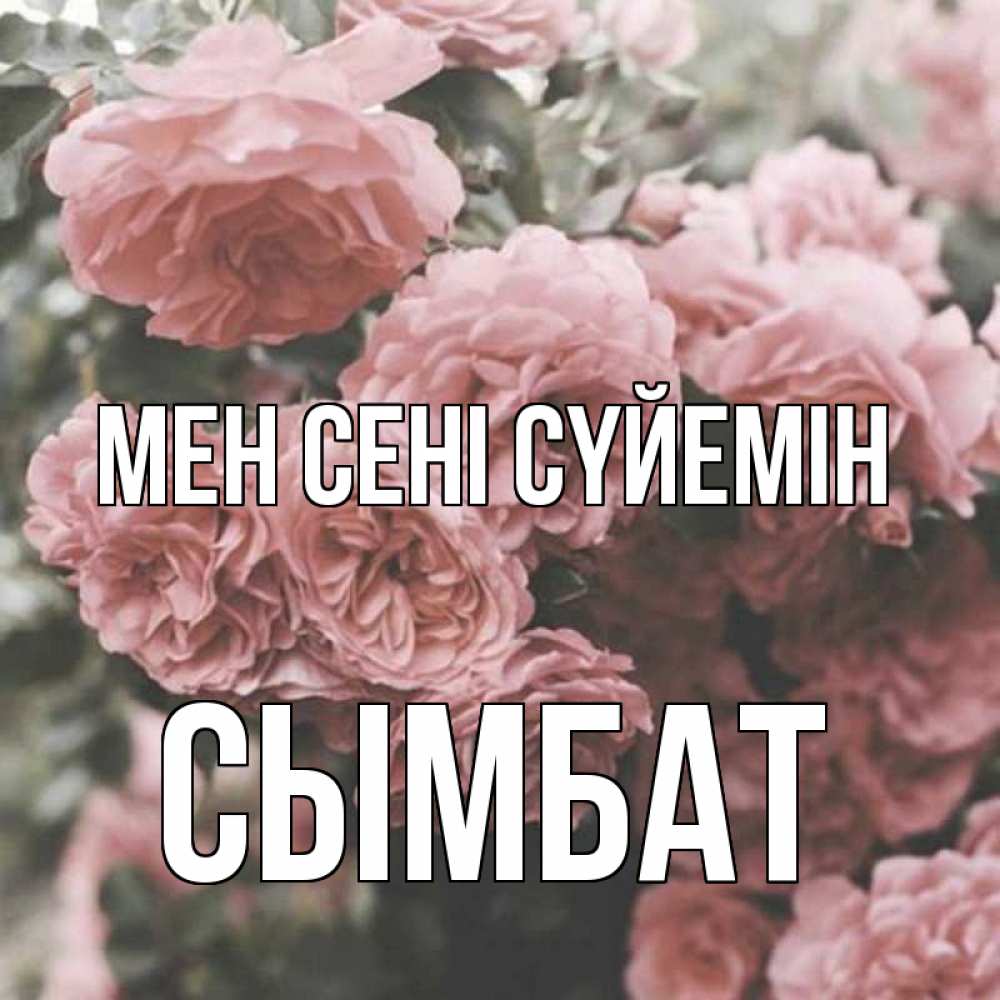 Күн сайын ашық хат с именем, СЫМБАТ Мен сені сүйемін розы 3 Онлайн тегін жүктеп алу тілектері бар керемет карта 