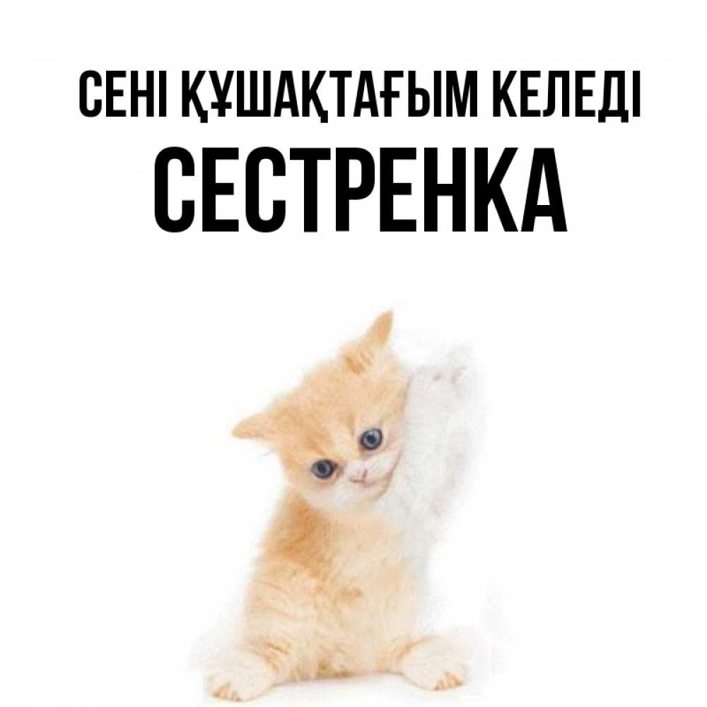 Күн сайын ашық хат с именем, Сестренка сені құшақтағым келеді я хочу очень скорее обнимаешек Онлайн тегін жүктеп алу тілектері бар керемет карта 