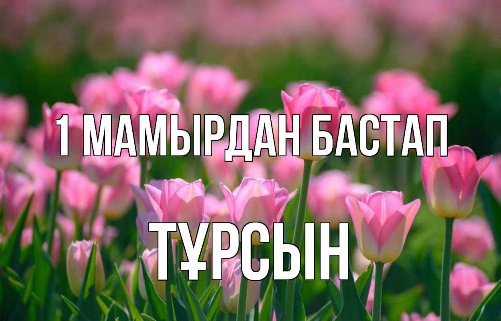 Күн сайын ашық хат с именем, ТҰРСЫН 1 мамырдан бастап С 1 мая Онлайн тегін жүктеп алу тілектері бар керемет карта 