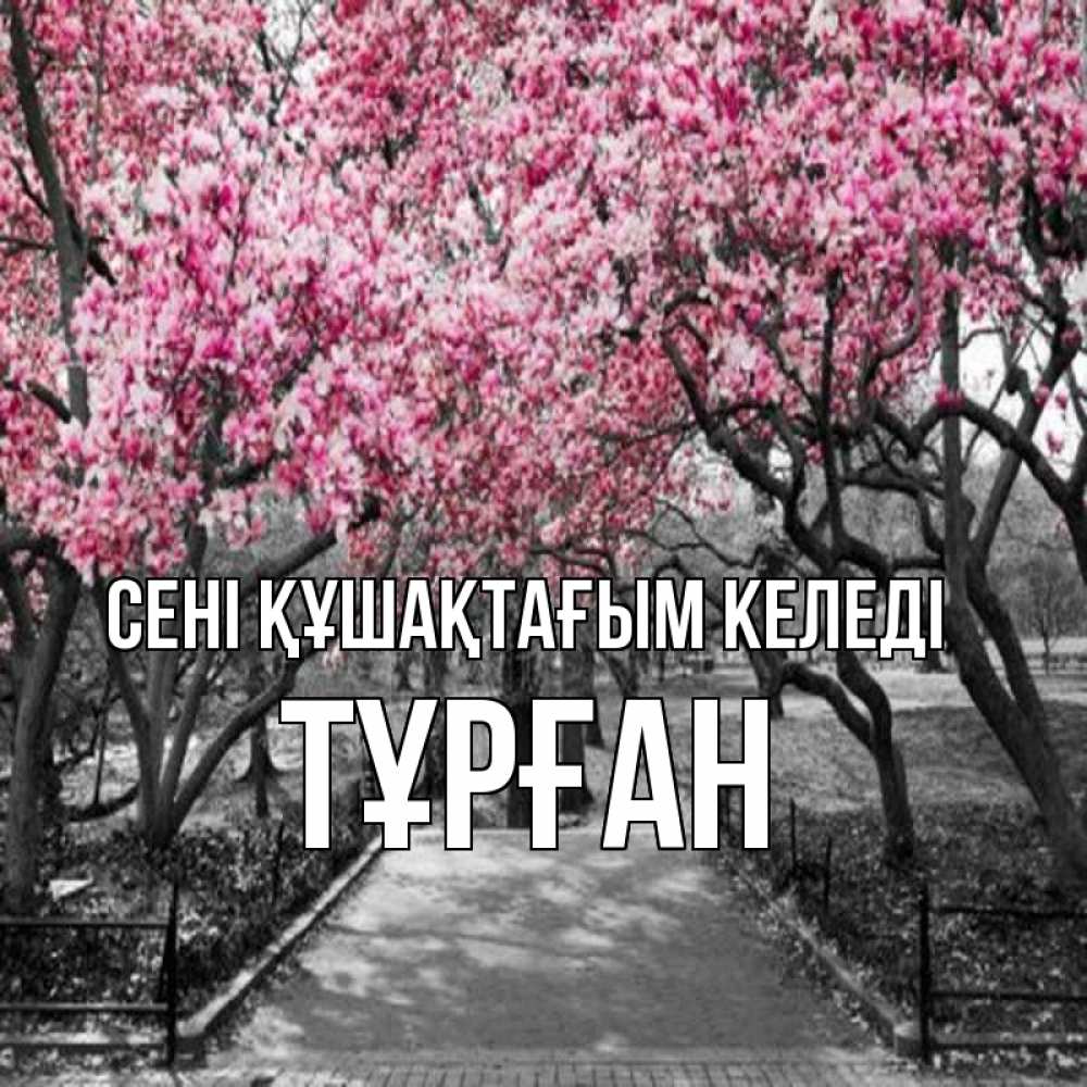 Күн сайын ашық хат с именем, ТҰРҒАН сені құшақтағым келеді обработанное фото Онлайн тегін жүктеп алу тілектері бар керемет карта 