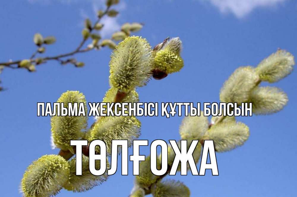 Күн сайын ашық хат с именем, ТӨЛҒОЖА Пальма жексенбісі құтты болсын верба Онлайн тегін жүктеп алу тілектері бар керемет карта 