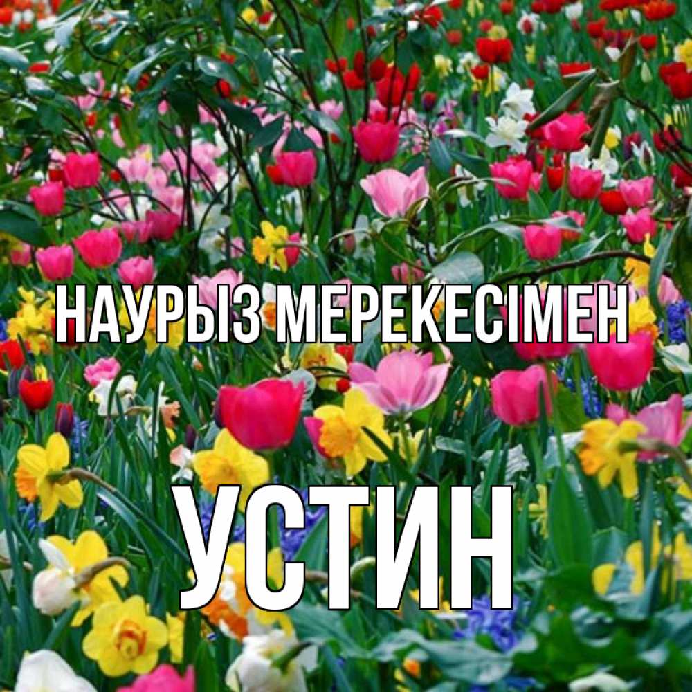 Күн сайын ашық хат с именем, Устин Наурыз мерекесімен с наурызом праздником весны поздравления для женщины Онлайн тегін жүктеп алу тілектері бар керемет карта 