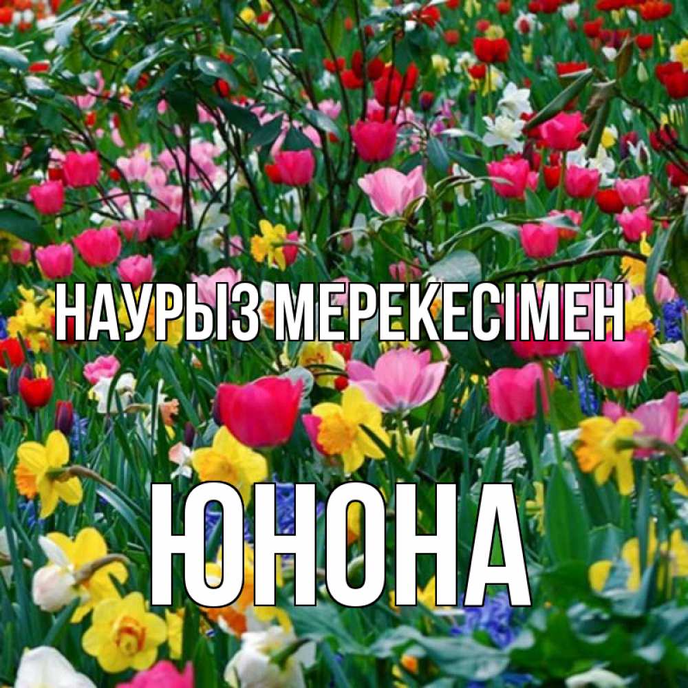 Күн сайын ашық хат с именем, Юнона Наурыз мерекесімен с наурызом праздником весны поздравления для женщины Онлайн тегін жүктеп алу тілектері бар керемет карта 