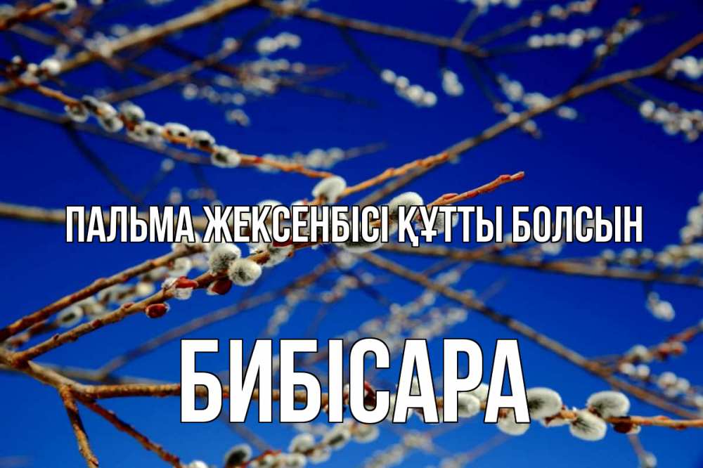 Күн сайын ашық хат с именем, БИБІСАРА Пальма жексенбісі құтты болсын верба Онлайн тегін жүктеп алу тілектері бар керемет карта 