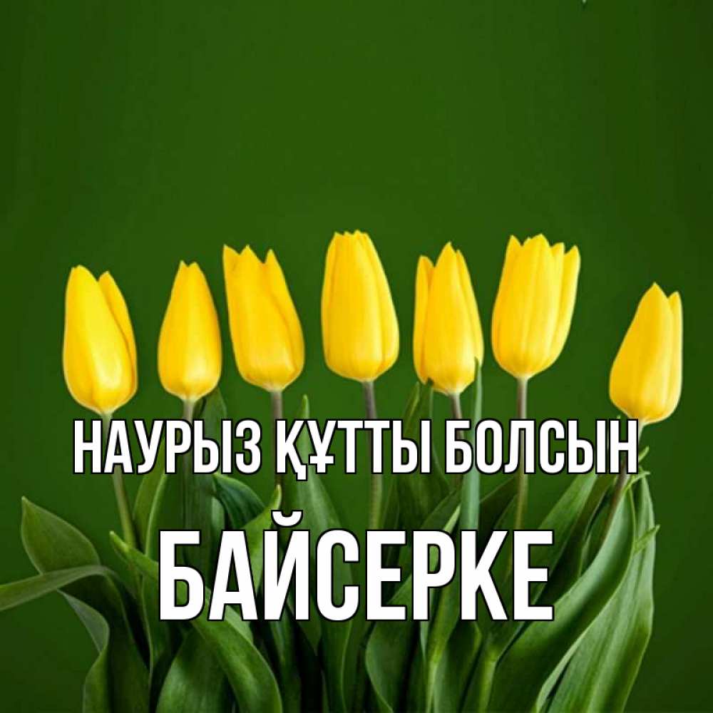 Күн сайын ашық хат с именем, Байсерке Наурыз құтты болсын желтого цвета 3 Онлайн тегін жүктеп алу тілектері бар керемет карта 