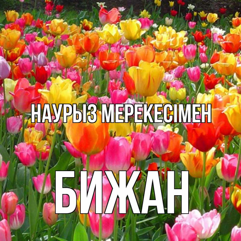 Күн сайын ашық хат с именем, Бижан Наурыз мерекесімен праздник весны наурыз 4 Онлайн тегін жүктеп алу тілектері бар керемет карта 