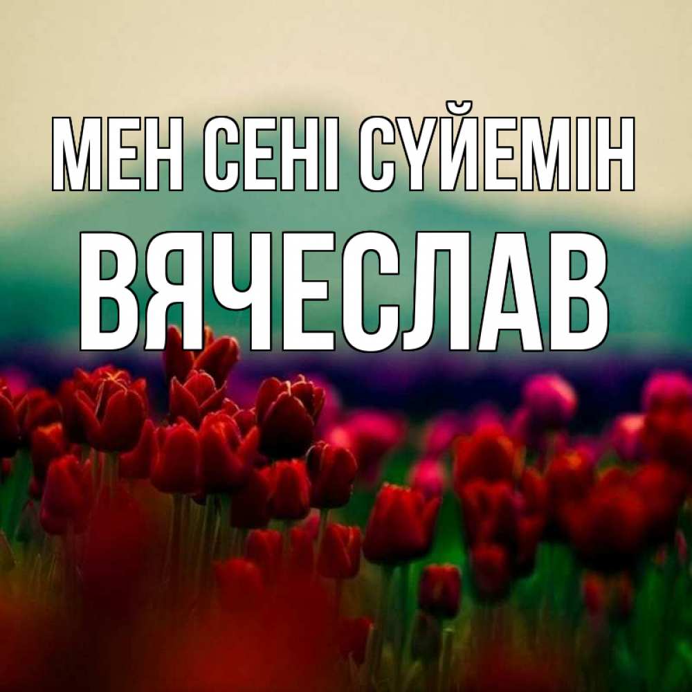 Күн сайын ашық хат с именем, Вячеслав Мен сені сүйемін тюльпаны 4 Онлайн тегін жүктеп алу тілектері бар керемет карта 