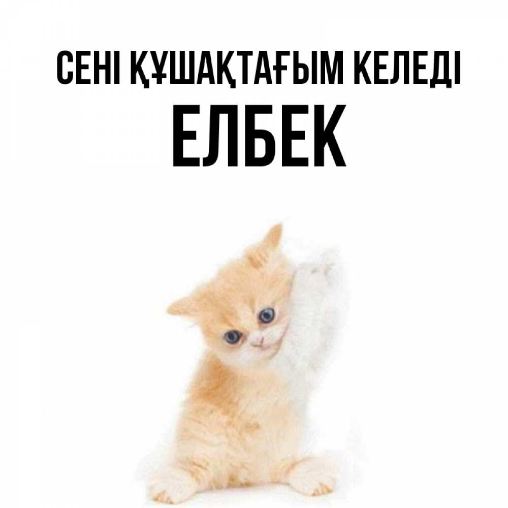 Күн сайын ашық хат с именем, Елбек сені құшақтағым келеді я хочу очень скорее обнимаешек Онлайн тегін жүктеп алу тілектері бар керемет карта 