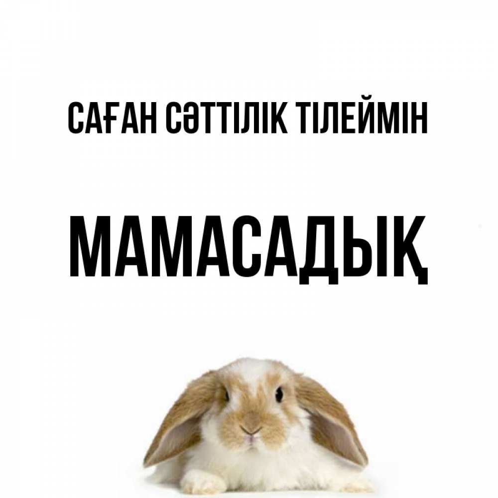 Күн сайын ашық хат с именем, МАМАСАДЫҚ Саған сәттілік тілеймін открытки с произвольным текстом который можно вставить в открытку и создать ее самостоятельно бесплатно онлайн Онлайн тегін жүктеп алу тілектері бар керемет карта 