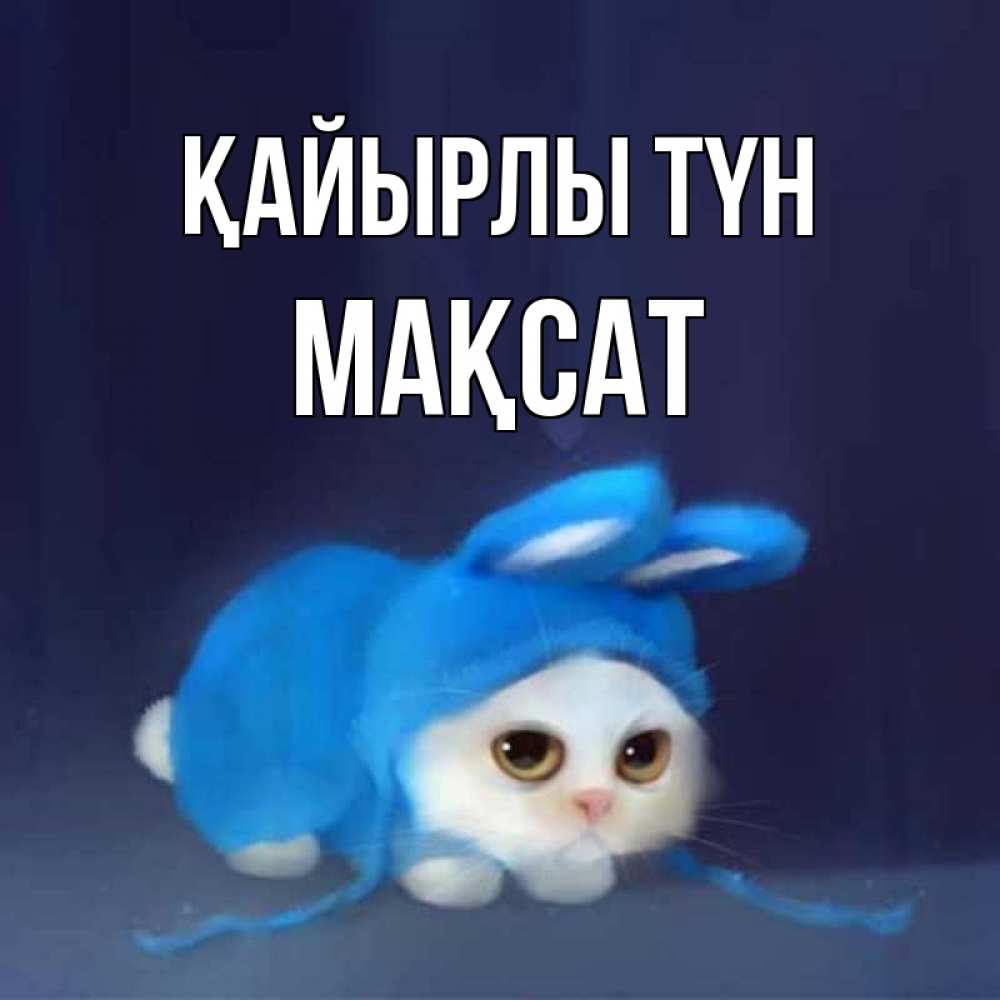 Күн сайын ашық хат с именем, МАҚСАТ Қайырлы түн кот в голубом костюме кролика с ушками Онлайн тегін жүктеп алу тілектері бар керемет карта 