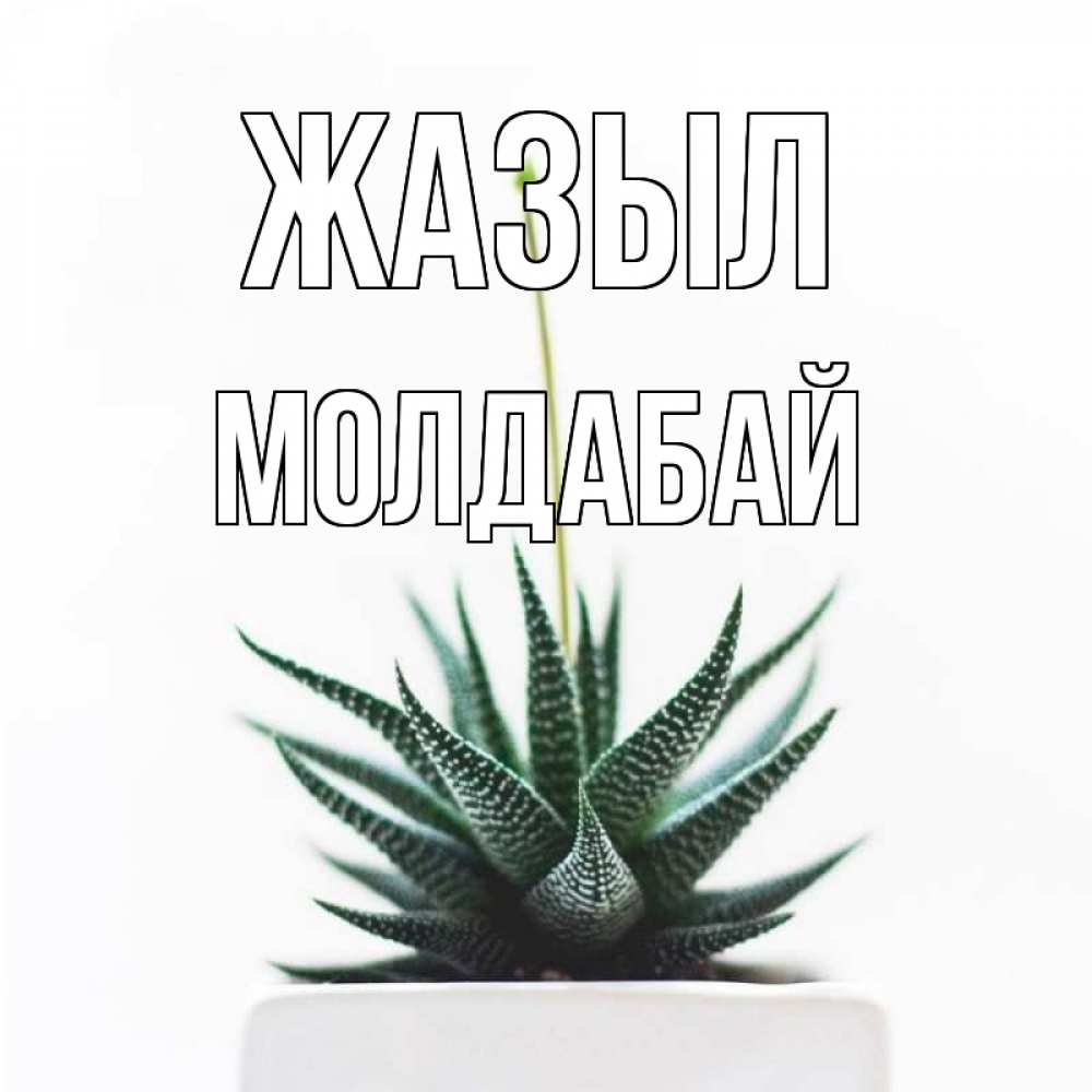 Күн сайын ашық хат с именем, МОЛДАБАЙ Жазыл короче это непонятная колючка Онлайн тегін жүктеп алу тілектері бар керемет карта 