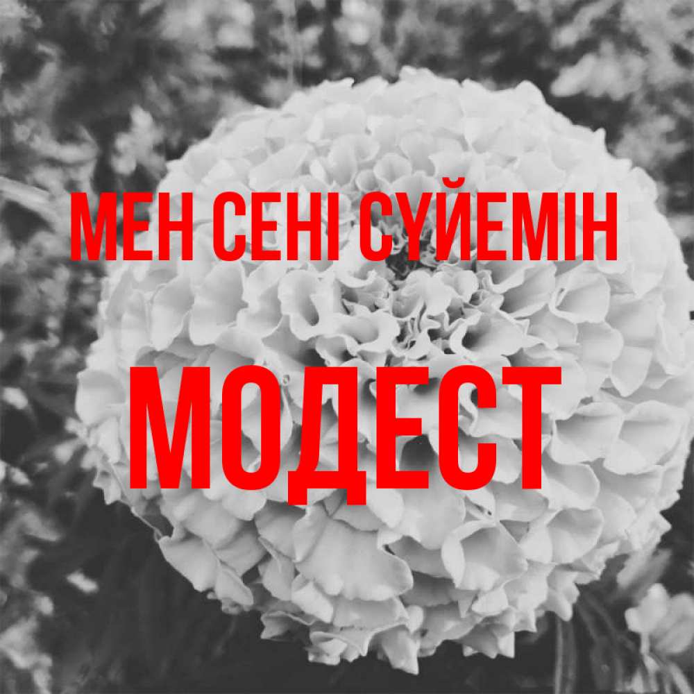 Күн сайын ашық хат с именем, Модест Мен сені сүйемін подпись Онлайн тегін жүктеп алу тілектері бар керемет карта 
