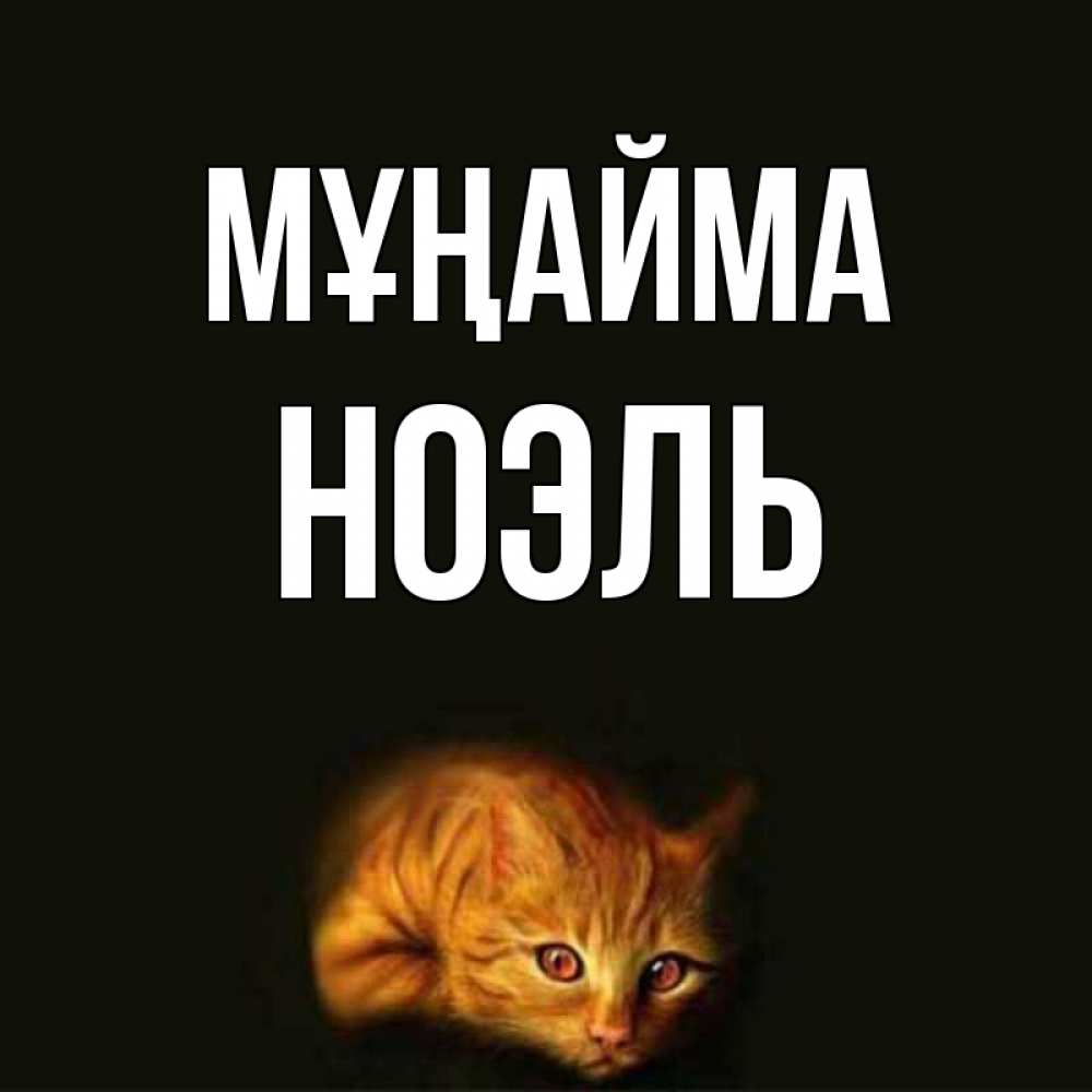 Күн сайын ашық хат с именем, НОЭЛЬ Мұңайма лежащий кот в темноте Онлайн тегін жүктеп алу тілектері бар керемет карта 