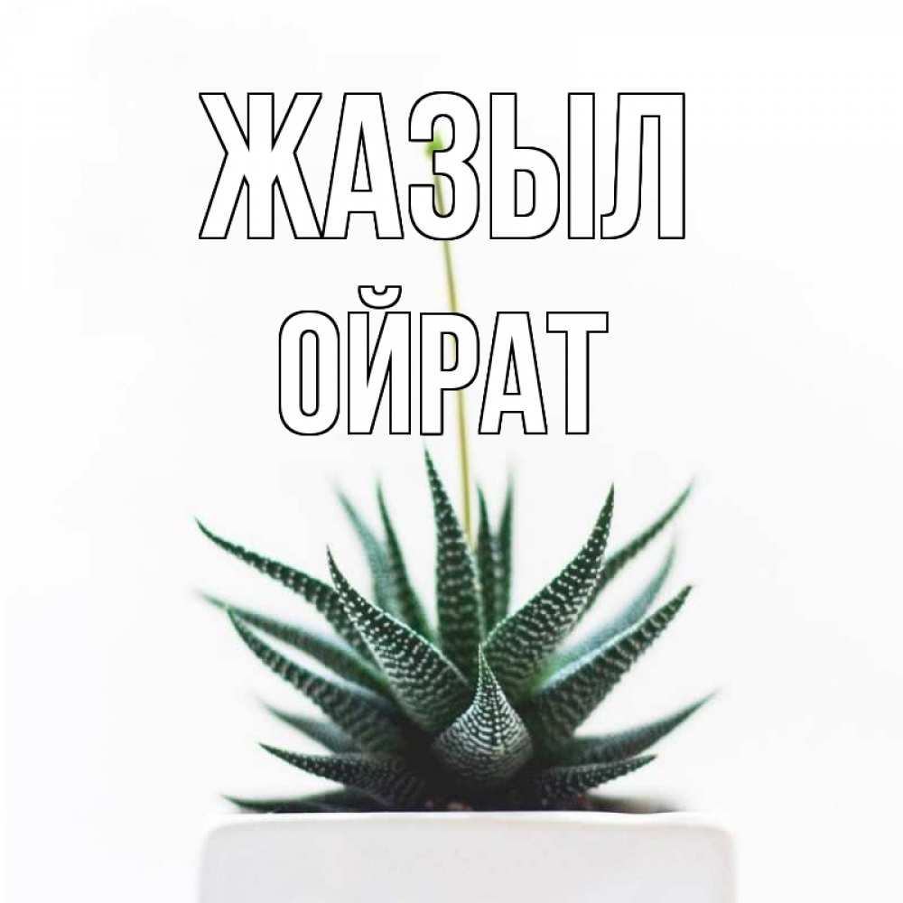 Күн сайын ашық хат с именем, ОЙРАТ Жазыл короче это непонятная колючка Онлайн тегін жүктеп алу тілектері бар керемет карта 
