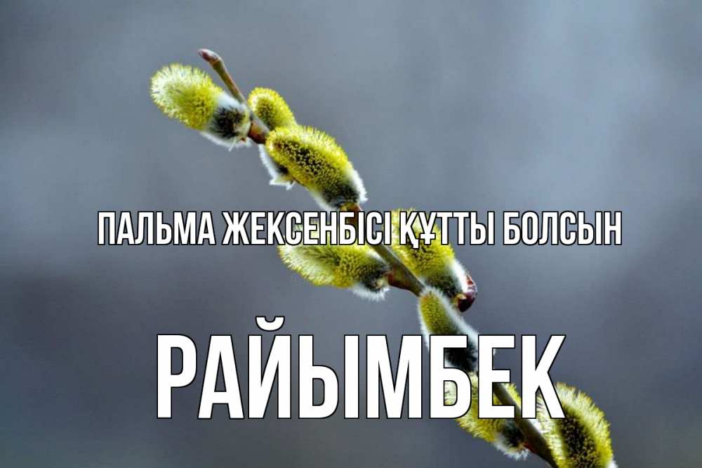 Күн сайын ашық хат с именем, РАЙЫМБЕК Пальма жексенбісі құтты болсын верба Онлайн тегін жүктеп алу тілектері бар керемет карта 