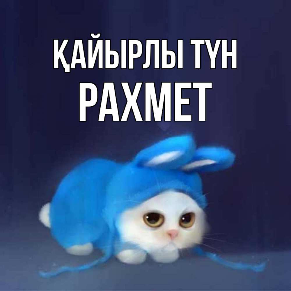 Күн сайын ашық хат с именем, РАХМЕТ Қайырлы түн кот в голубом костюме кролика с ушками Онлайн тегін жүктеп алу тілектері бар керемет карта 