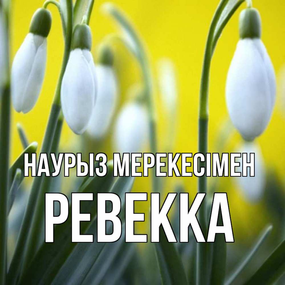 Күн сайын ашық хат с именем, Ревекка Наурыз мерекесімен весенние цветы Онлайн тегін жүктеп алу тілектері бар керемет карта 