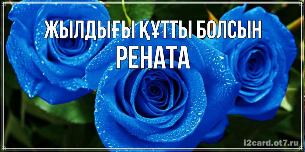 Күн сайын ашық хат с именем, Рената Жылдығы құтты болсын розы с синим цветом Онлайн тегін жүктеп алу тілектері бар керемет карта 