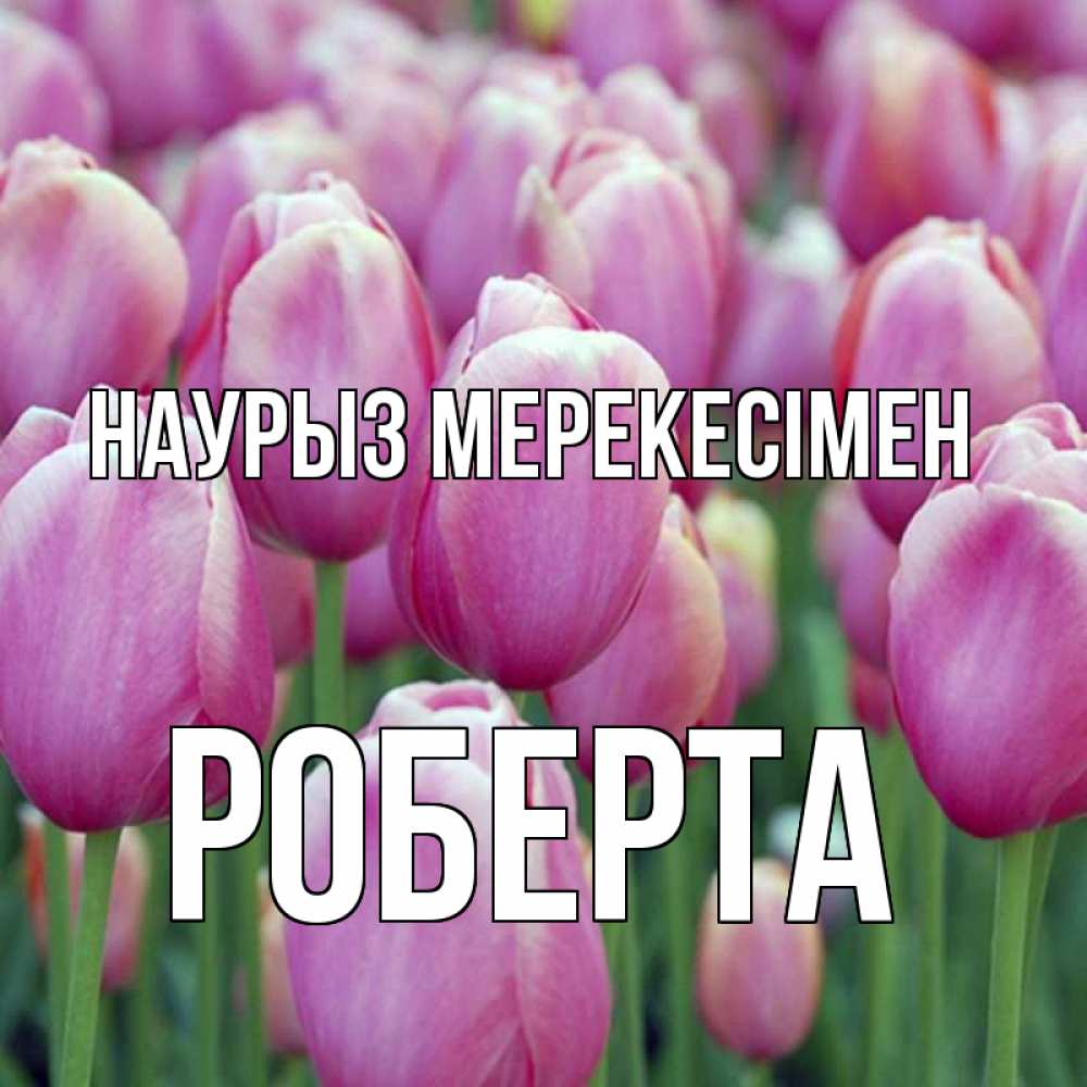 Күн сайын ашық хат с именем, Роберта Наурыз мерекесімен праздник весны наурыз 69 Онлайн тегін жүктеп алу тілектері бар керемет карта 