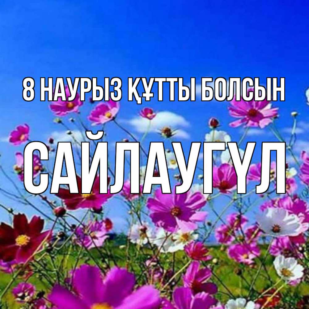 Күн сайын ашық хат с именем, САЙЛАУГҮЛ 8 наурыз құтты болсын цветы Онлайн тегін жүктеп алу тілектері бар керемет карта 