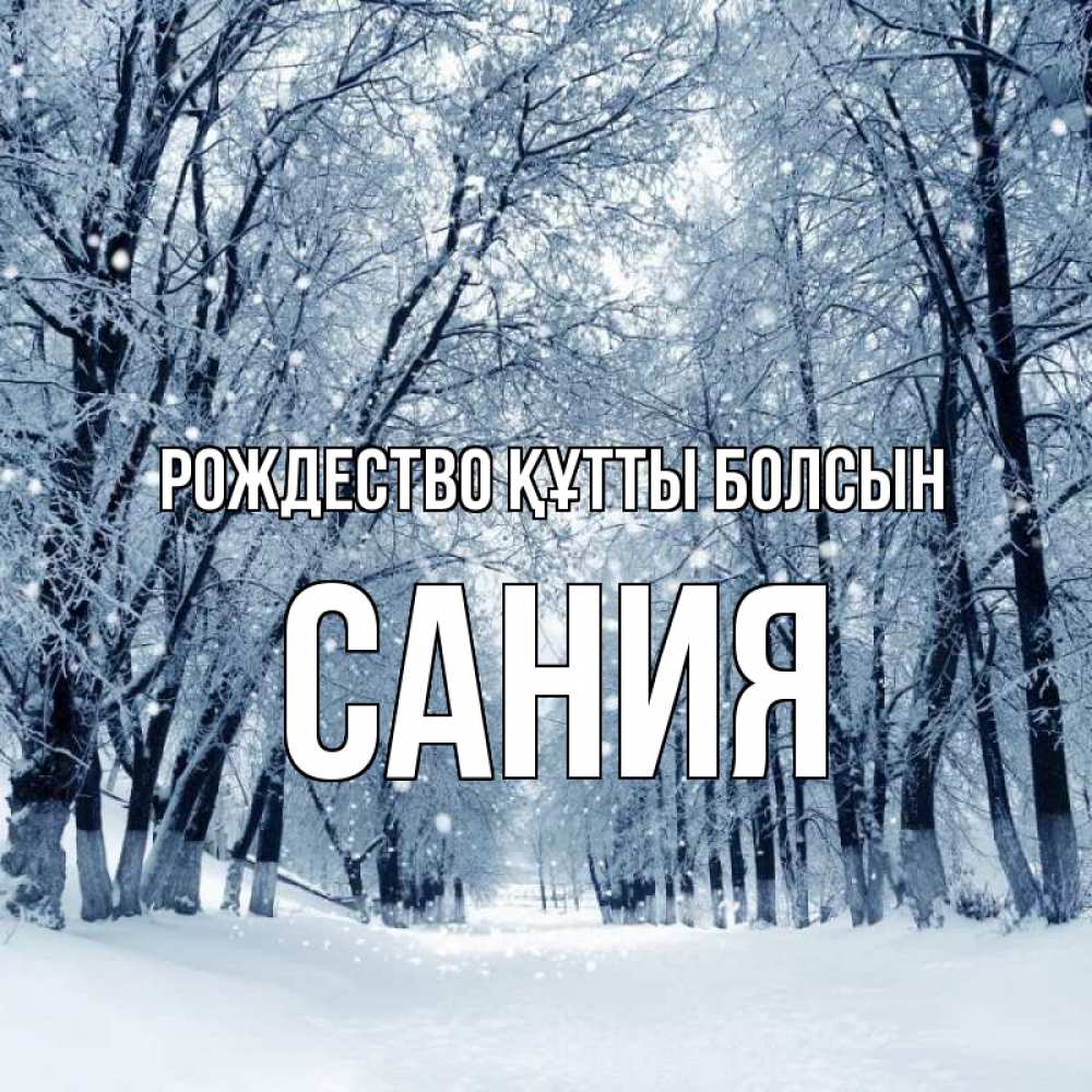 Күн сайын ашық хат с именем, Сания Рождество құтты болсын снег, лес, парк Онлайн тегін жүктеп алу тілектері бар керемет карта 