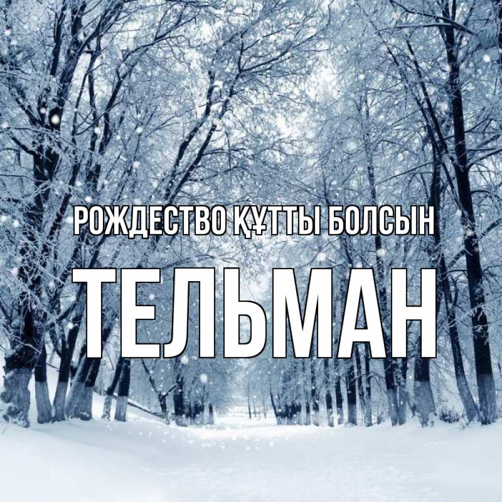 Күн сайын ашық хат с именем, Тельман Рождество құтты болсын снег, лес, парк Онлайн тегін жүктеп алу тілектері бар керемет карта 