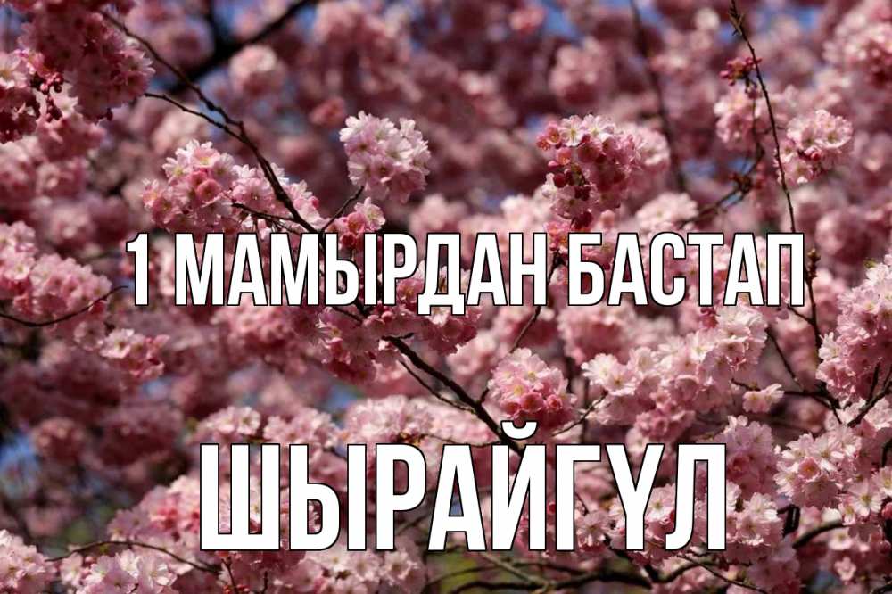 Күн сайын ашық хат с именем, ШЫРАЙГҮЛ 1 мамырдан бастап С 1 мая Онлайн тегін жүктеп алу тілектері бар керемет карта 