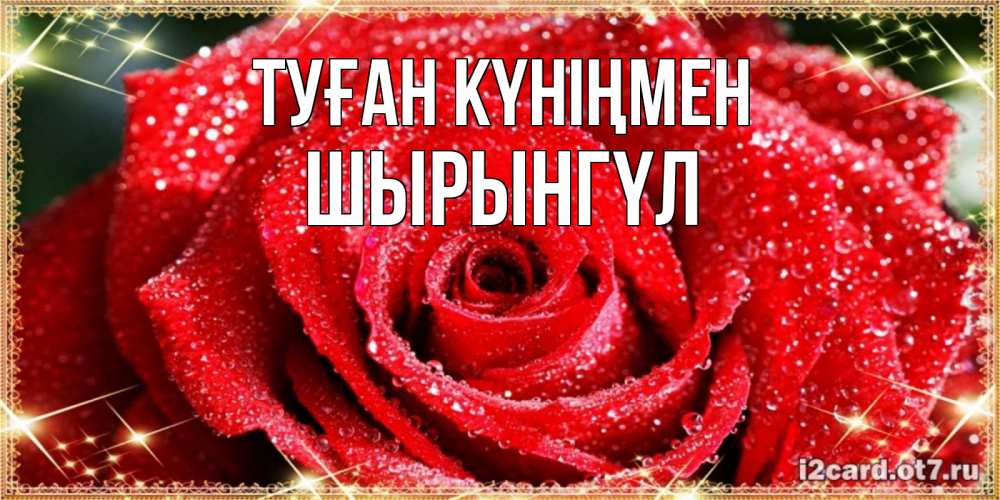 Күн сайын ашық хат с именем, ШЫРЫНГҮЛ Туған күніңмен роса и роза. открытка с красивой розой Онлайн тегін жүктеп алу тілектері бар керемет карта 