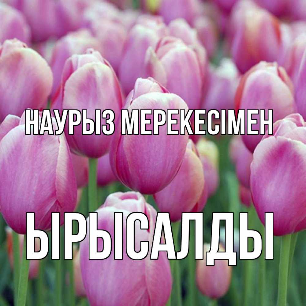 Күн сайын ашық хат с именем, ЫРЫСАЛДЫ Наурыз мерекесімен праздник весны наурыз 69 Онлайн тегін жүктеп алу тілектері бар керемет карта 
