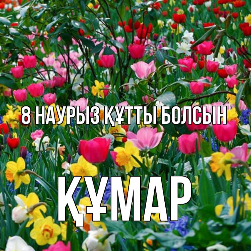 Күн сайын ашық хат с именем, ҚҰМАР 8 наурыз құтты болсын с международным женским днем поздравления для женщины Онлайн тегін жүктеп алу тілектері бар керемет карта 