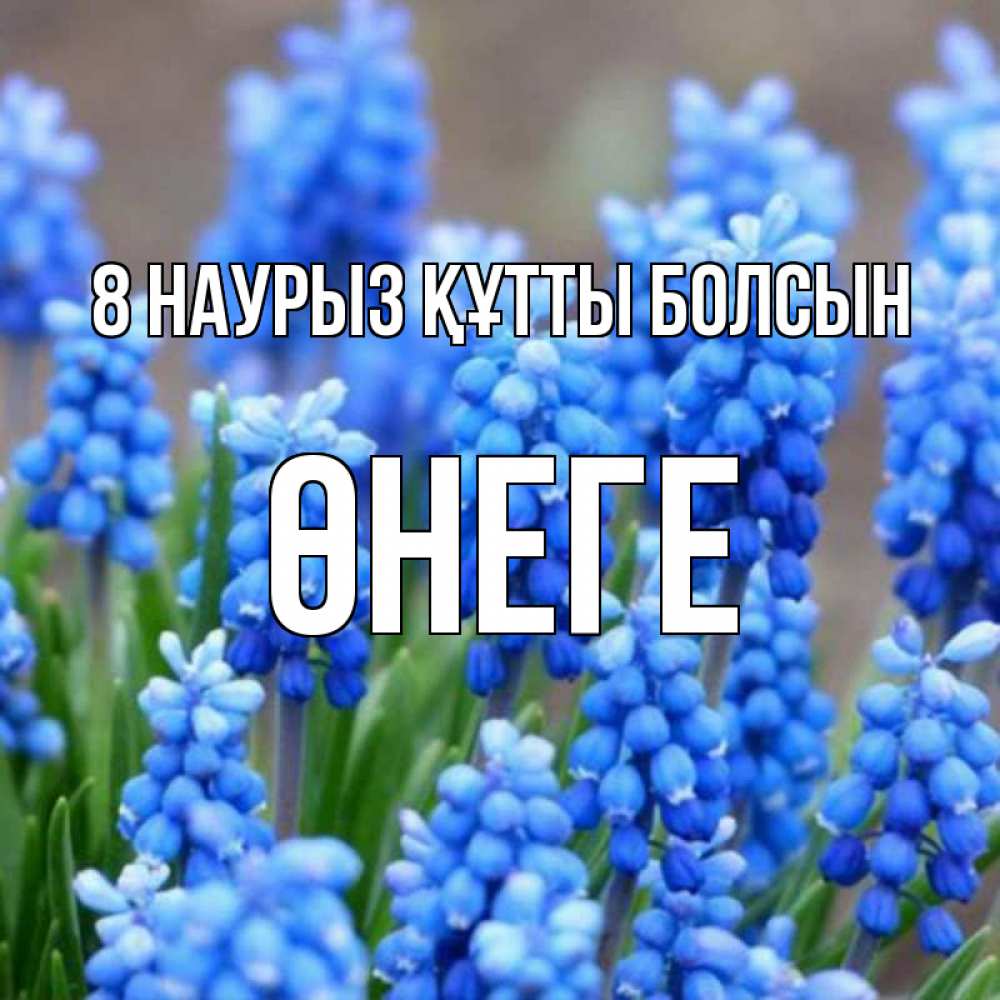 Күн сайын ашық хат с именем, ӨНЕГЕ 8 наурыз құтты болсын Поздравительная открытка для женщин с цветами на праздничную дату Онлайн тегін жүктеп алу тілектері бар керемет карта 