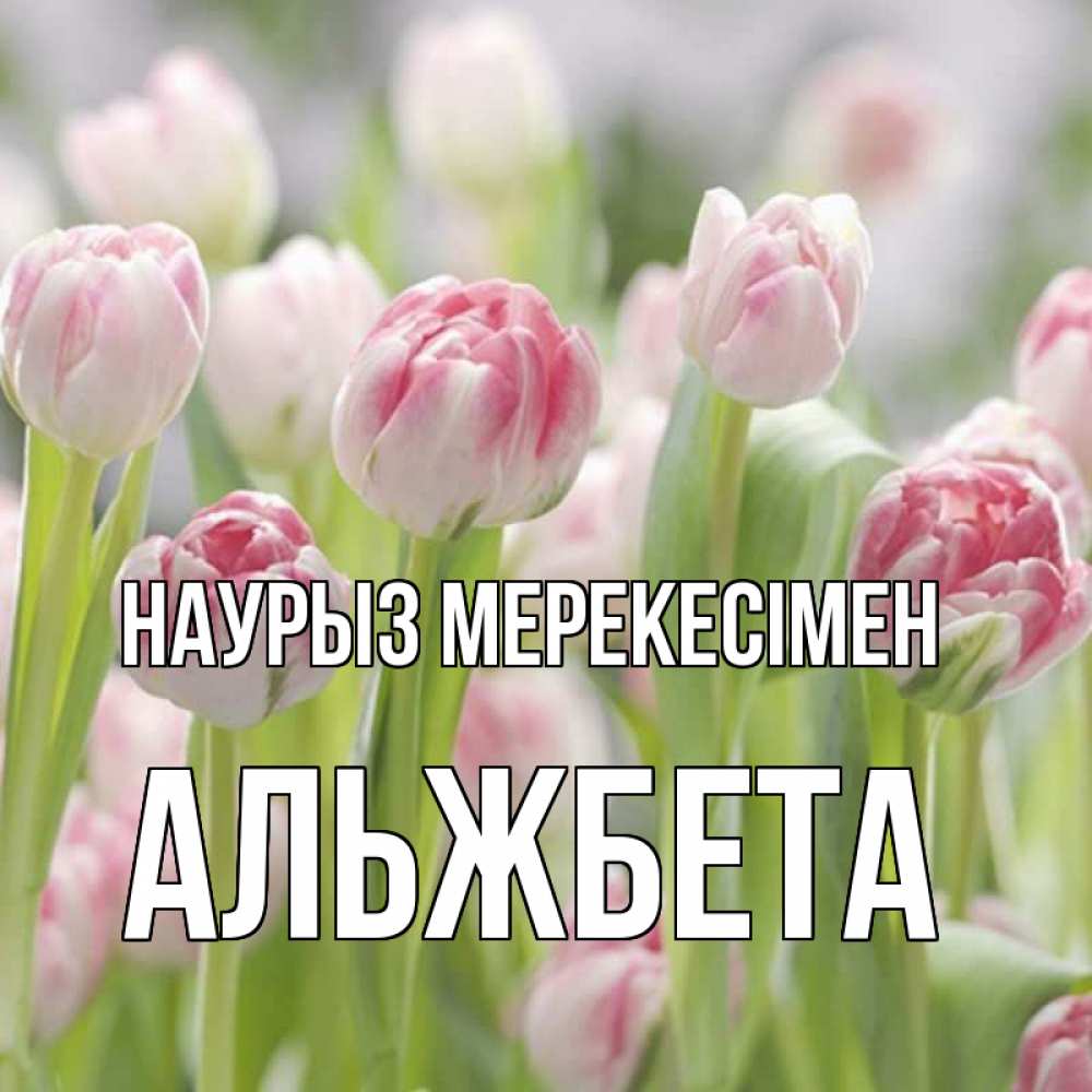 Күн сайын ашық хат с именем, Альжбета Наурыз мерекесімен цветы Онлайн тегін жүктеп алу тілектері бар керемет карта 